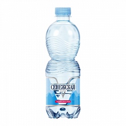 Сенежская 0,5л газ